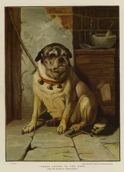 Throw Physic to the Dogs